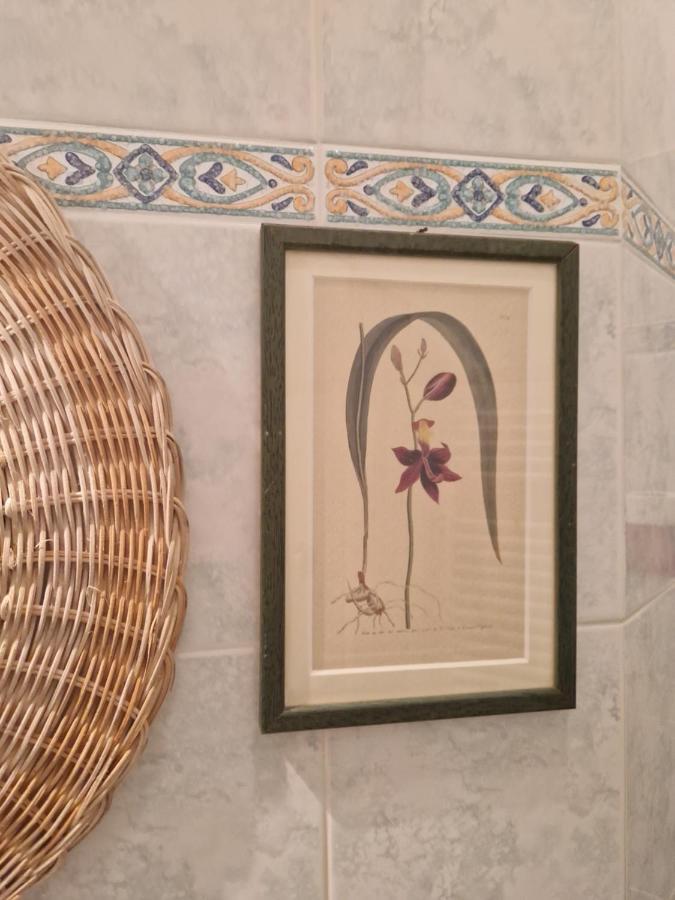 At Monica'S In Rome - Stazione Labaro Apartman Kültér fotó